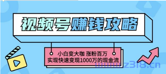 玩转微信视频号赚钱：小白变大咖涨粉百万实现快速变现1000万的现金流