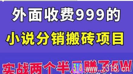 外面收费999的小说分销搬砖项目：实战两个半月赚了5W块，操作简单！ 