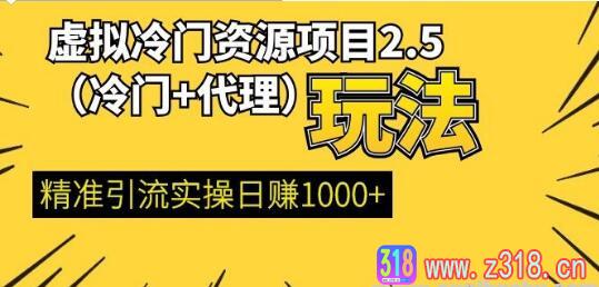 虚拟冷门资源项目2.5（冷门&代理玩法） 精准引流实操日赚1000+(完结)