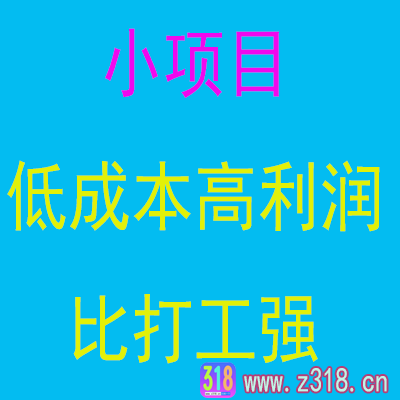 你看不起的数据线利润，小项目低成本高利润，收入比打工强！