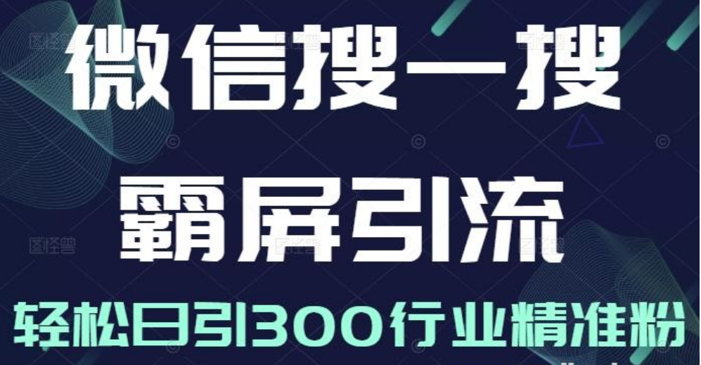 微信搜一搜霸屏引流课，打造被动精准引流系统，轻松日引300行业精准粉【无水印】